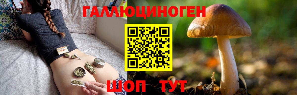 Галлюциногенные грибы мицелий Саров